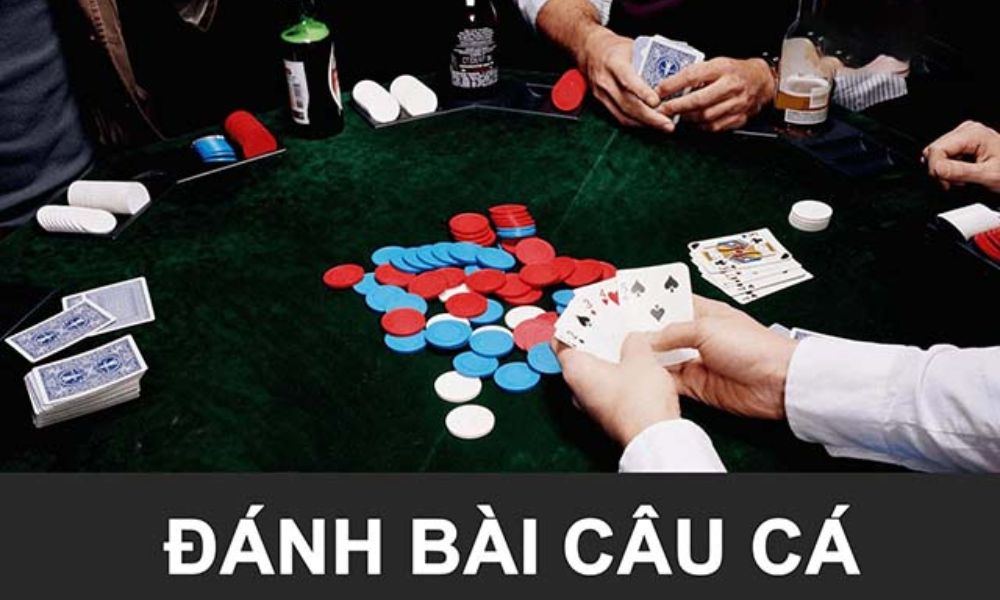 Hướng dẫn chơi bài câu cá đơn giản – Mẹo dễ thắng